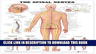 Collection Book The Spinal Nerves Anatomical Chart
