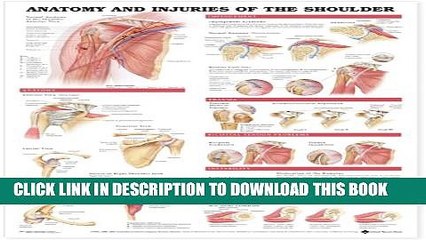 Collection Book Anatomy and Injuries of the Shoulder Anatomical Chart