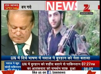Nawaz Sharif Was Talking About Burhan Wani in UN Speech 2016