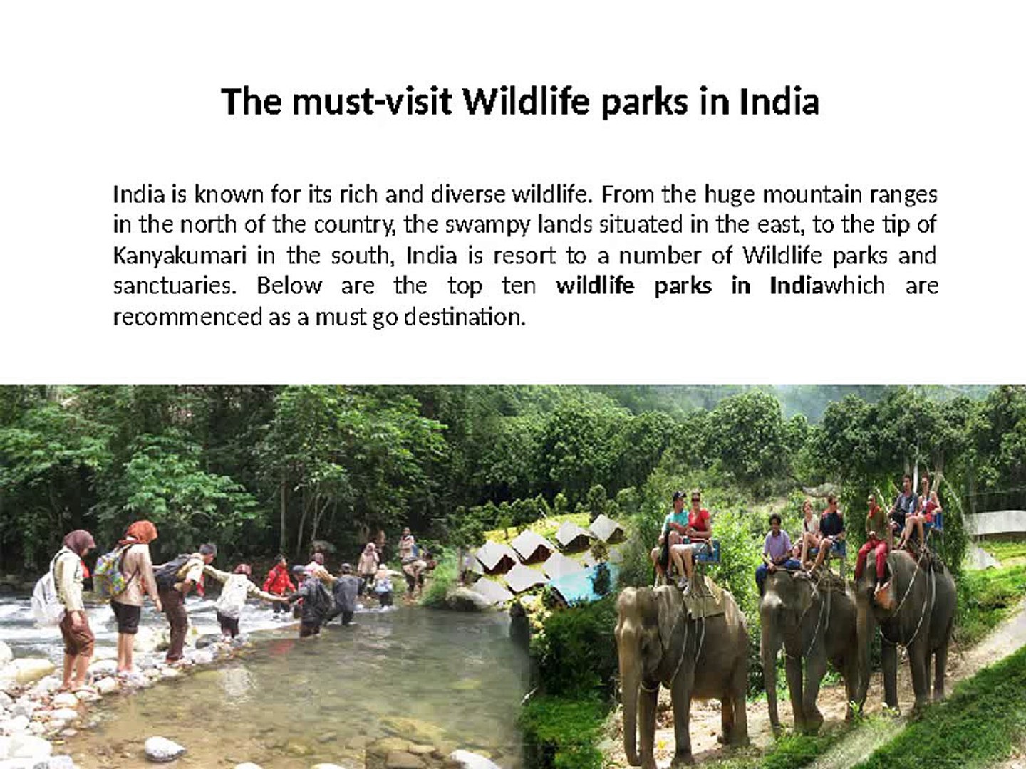 ⁣Wildlife parks in India- Wildlife parks