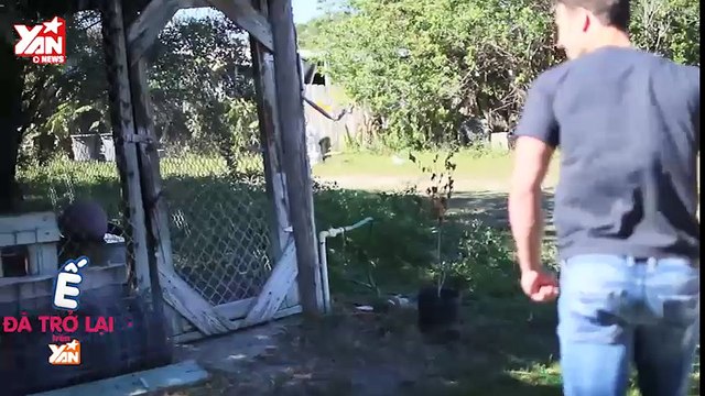 Linh cẩu nhận ra chủ sau 4 năm gây bất ngờ