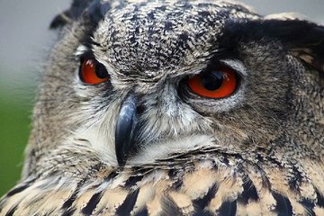 찜알바《검색》남자bar알바,대전찜알바,알바,꿀알바