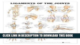 New Book Ligaments of the Joints Anatomical Chart