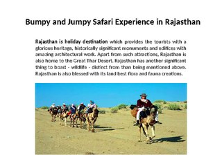 Safari Experience in Rajasthan