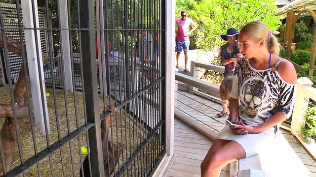 Анастасия Волочкова гуляет в контактном зоопарке отеля «Ялта-Интурист» в Крыму