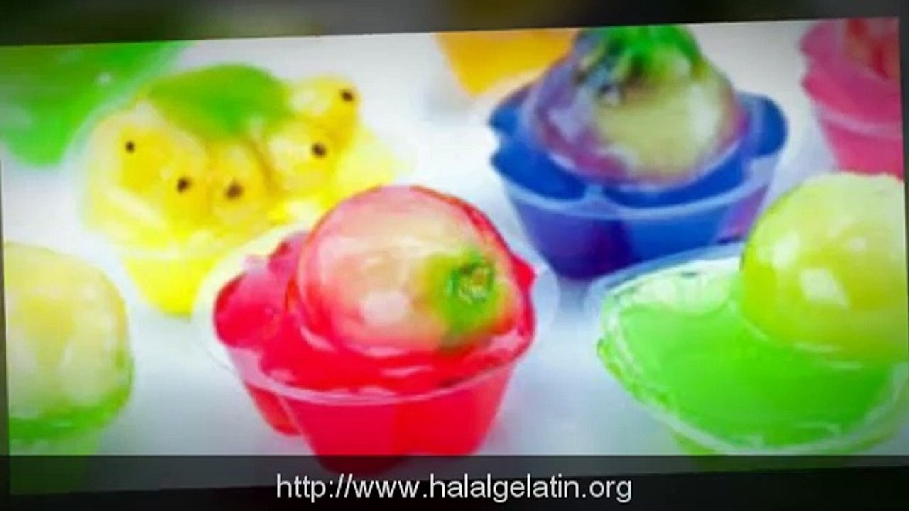 Halal Gelatin | Gelatine