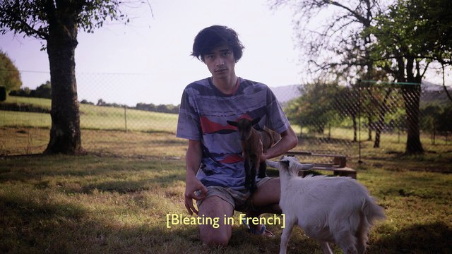 Jeu du cercle : tu regardes, tu prends un coup ! Cout-métrage