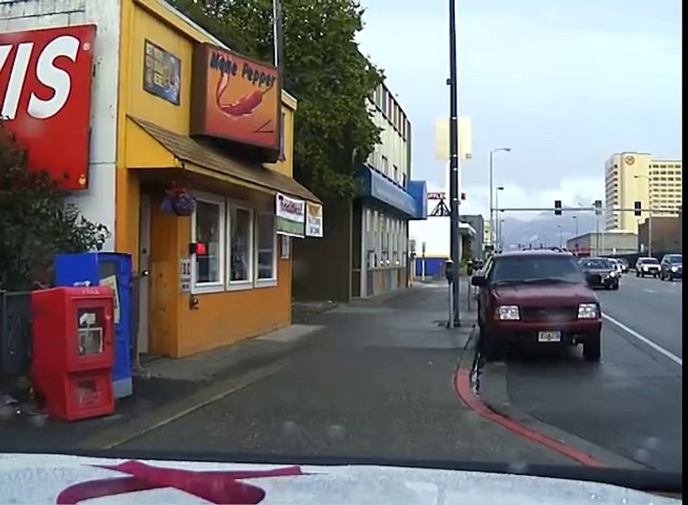 Chasse à l'ours par une voiture de Police dans les rues d'une ville