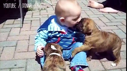 Khi bạn thân của các bé là những chú cún