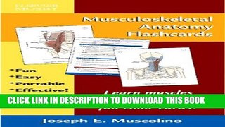 Collection Book Musculoskeletal Anatomy Flashcards