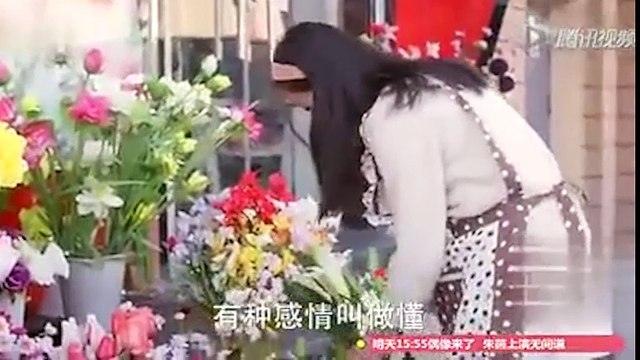 Clip động vật - chú chó xin hoa để thăm mộ chủ