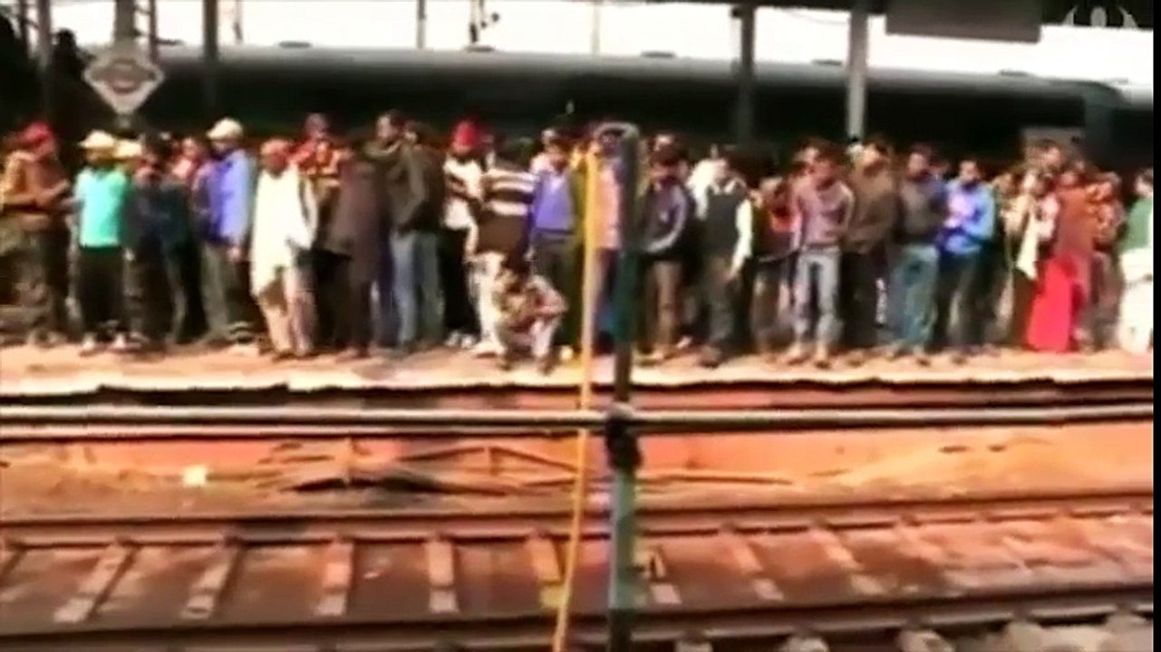 Clip động vật - Chú khỉ thông minh cứu bạn bị điện giật thoát chết