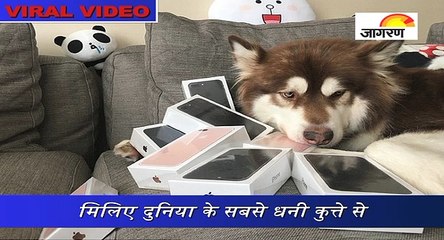 मिलिए दुनिया के सबसे धनी कुत्ते से