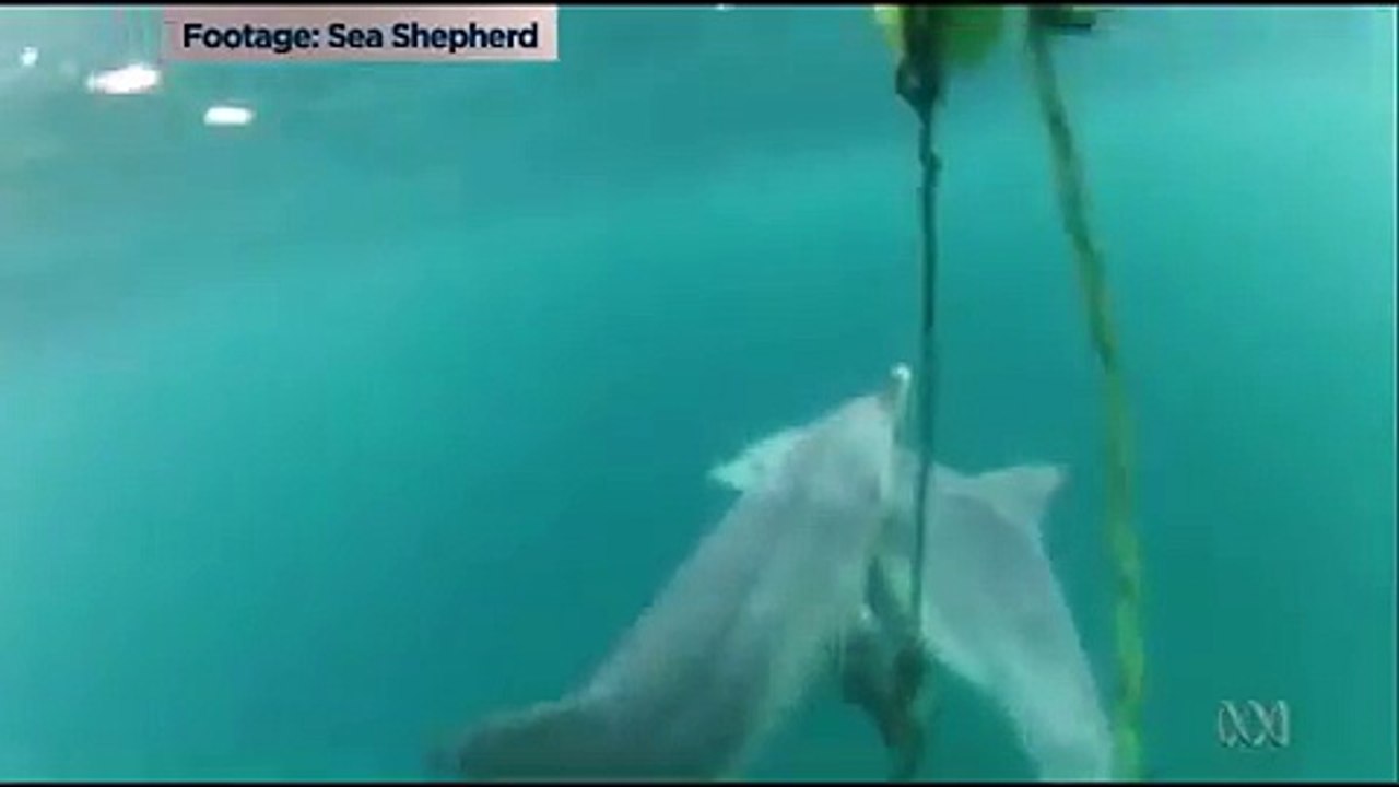 Clip xúc động rơi nước mắt khiến ta nỗ lực hơn