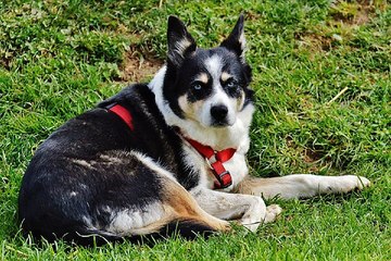 대전고수익알바『찜알바-검색』폭스알바A대구룸알바A클럽알바