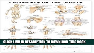 Collection Book Ligaments of the Joints Anatomical Chart