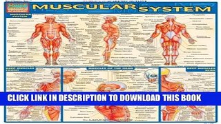 Collection Book Muscular System (Quickstudy: Academic)