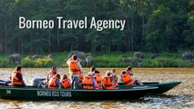 Get World class Nature Tours, Holidays & Vacation Packages at Borneo Eco Tours