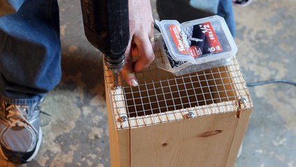 How to Make a Squirrel Trap - DIY catch alive trap