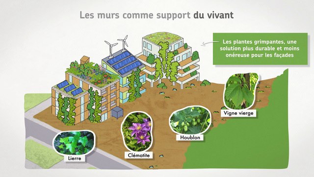 Bâtiment et biodiversité. Et si l'on pensait les villes et les bâtiments comme des écosystèmes.
