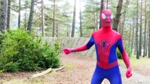 Spiderman vs Police Wanted Dead or Alive! w_ Harley Queen, Frozen Elsa & Fun Superhero In Real Life! part 3