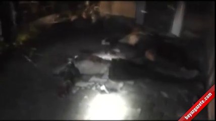 Kurban Bayramı'nda Van'ı kana bulayan 2 terörist etkisiz hale getirildi