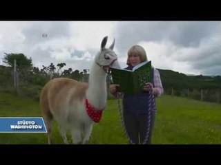 Yeni Guinness Dünya Rekorları Neler?