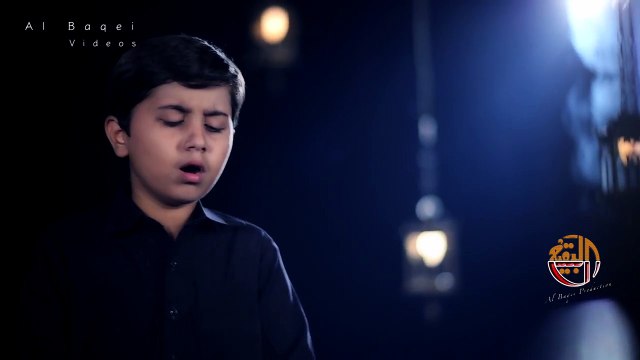 Abbas Zaidi, Hussain Zaidi & Zain Zaodo Promo Nohay 2016-17 (Muharrum 1438) HD