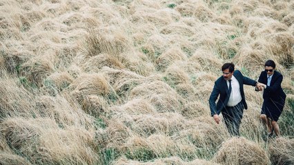 Streaming Online The Lobster Stream HD