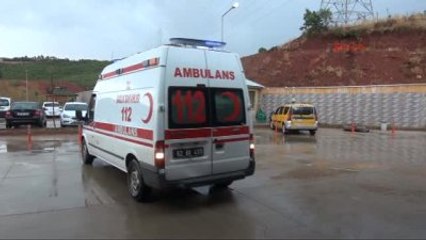 Tunceli - Ormanda Ceviz Toplarken Ayı Saldırdı