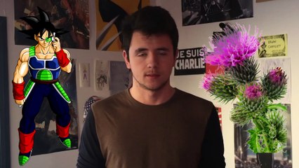 10 CHOSES QUE VOUS IGNOREZ SUR DRAGON BALL - 10 CQVIS #3