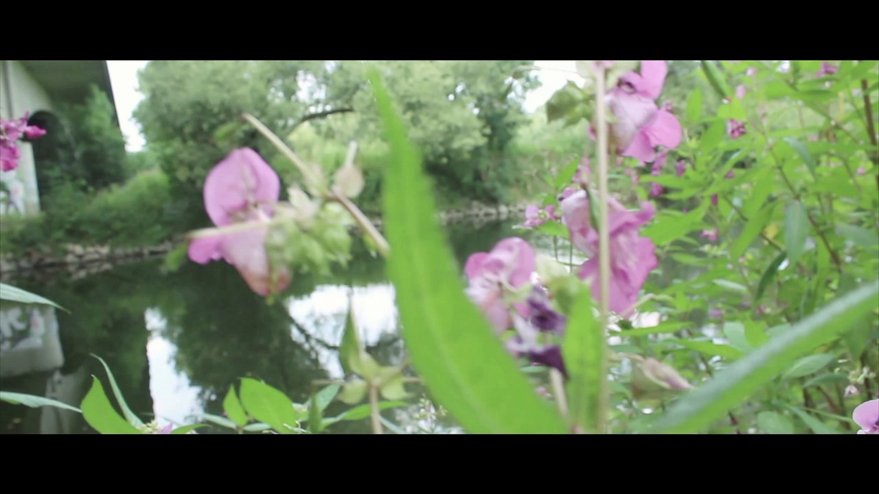 ROBERT UNDSO | KANAL TRAILER