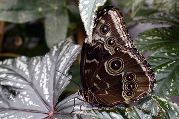 광주고액알바『찜알바-검색』언니알바A창원룸알바A삐삐알바