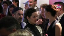 Angelina Jolie et Brad Pitt divorcés : Marion Cotillard règle ses comptes ! (vidéo)