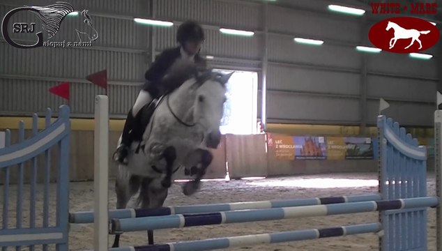 Mistrzostwa Polski w jeździe bez ogłowia 2016-09-10 i 11 Wrocław