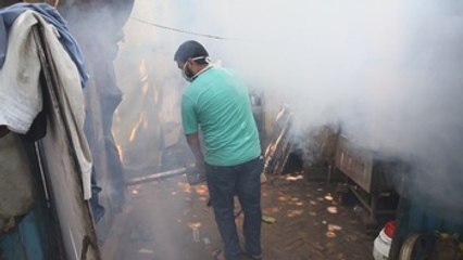 Aumentan los casos de chikunguña y dengue en Nueva Delhi