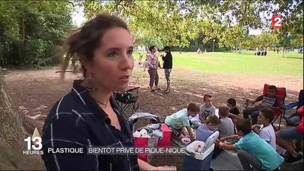 Vaisselle jetable : quelles solutions pour remplacer le plastique ?