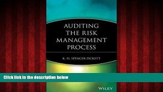 FREE DOWNLOAD  Auditing the Risk Management Process  FREE BOOOK ONLINE