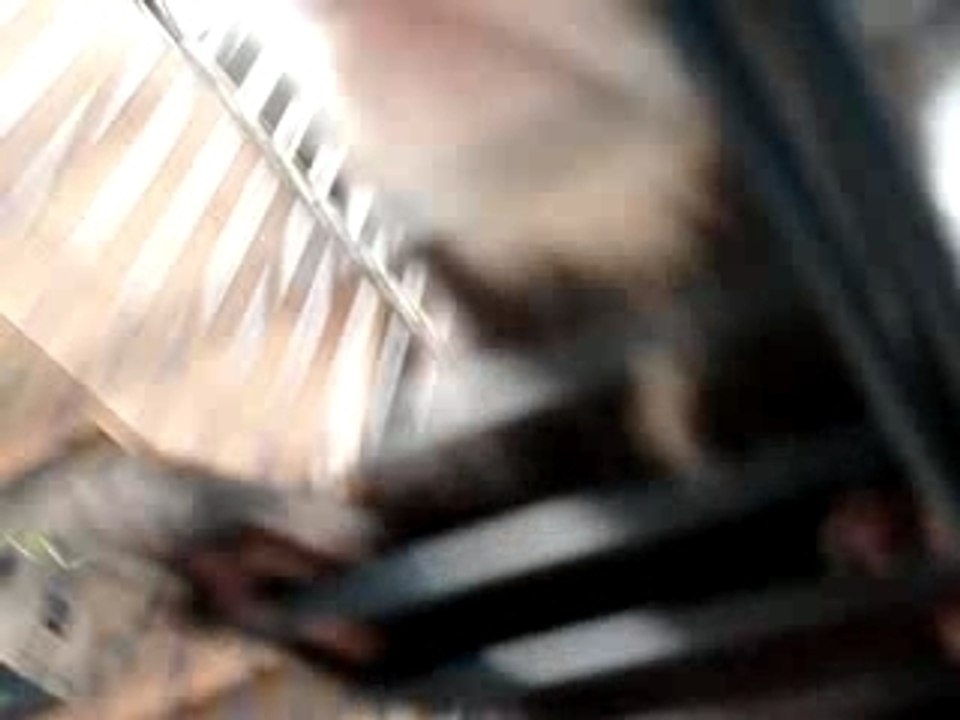 Je pleure et je grimpe