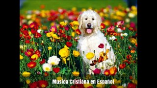 Música Cristiana en Español
