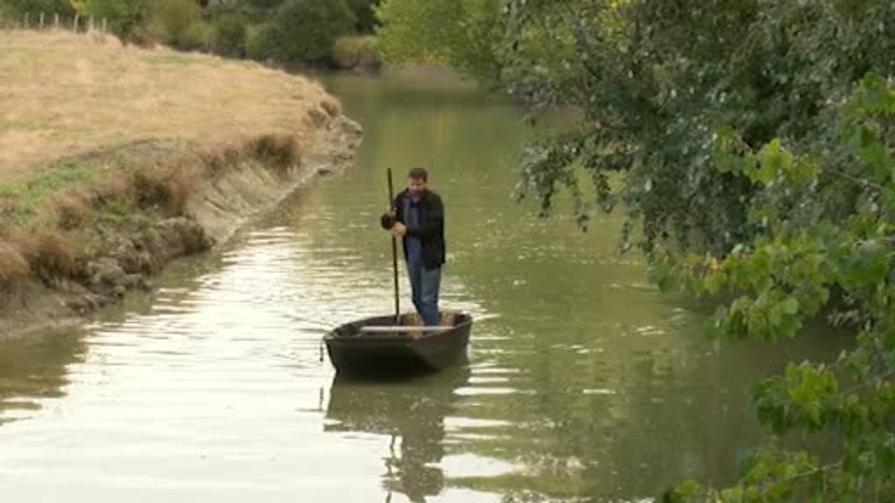 Écosystème : Visite du marais breton-vendéen (Le Perrier)