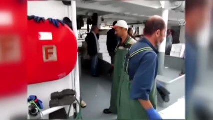 Kurucaşile'de Palamut Bolluğu - Bartın