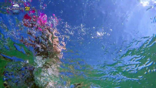 KALI - PAUZA - Кали - Пауза, 2016