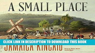 New Book A Small Place