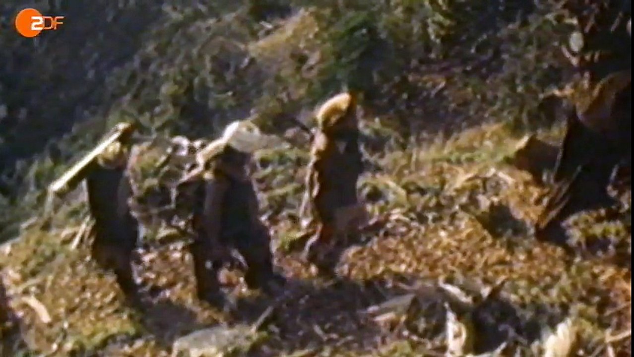 Der Heilige Krieg - Terror für den Glauben