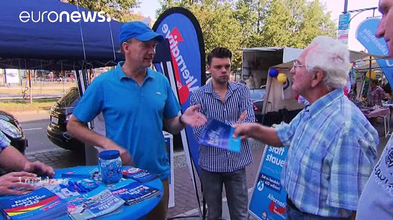 "Альтернатива для Германии" обещает избавить немцев от страха