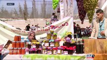 Hébron : la foire aux raisins a engrangé les succès