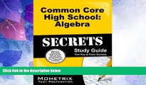 Big Deals  Common Core High School: Algebra Secrets Study Guide: CCSS Test Review for the Common
