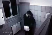 Tuvalette Kız İstediğini Alamayınca Çocuğu Dövüyor.