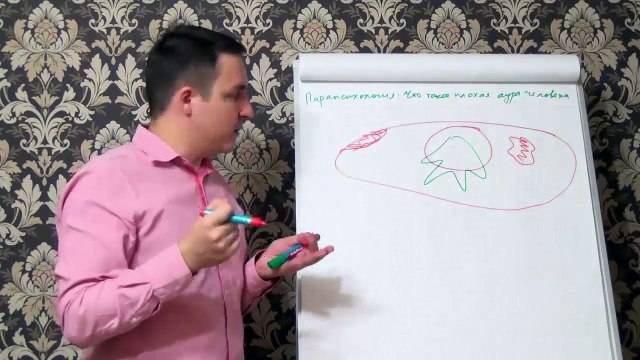 Евгений Грин — Парапсихология — Что такое плохая аура человека